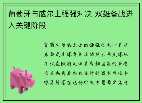 葡萄牙与威尔士强强对决 双雄备战进入关键阶段