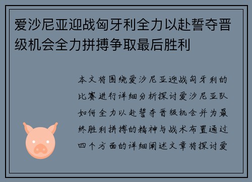 爱沙尼亚迎战匈牙利全力以赴誓夺晋级机会全力拼搏争取最后胜利