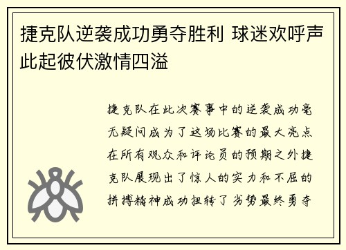 捷克队逆袭成功勇夺胜利 球迷欢呼声此起彼伏激情四溢