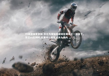 YY易游体育官网-芬兰与保加利亚将在赛场上一决高下，芬兰vs比利时,比赛中一名球迷冲入场内